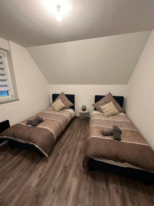 Appartement Algo Algolsheim Exteriér fotografie